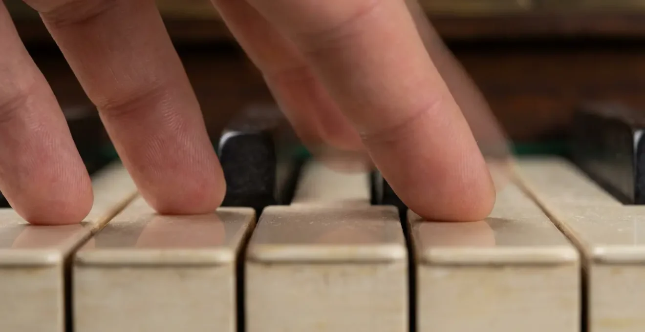 Visualisation de la consolidation des apprentissages moteurs pendant le sommeil paradoxal